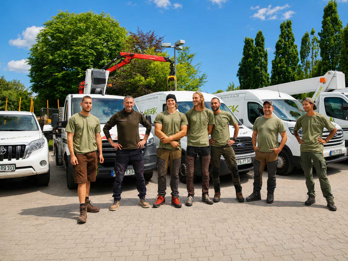 Frische Forstwirtschaft